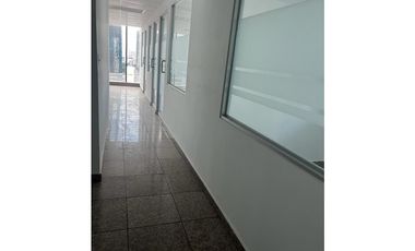 OFICINA / CALLE 50 / PH GLOBAL PLAZA / 358m2 / CON DIVISIONES