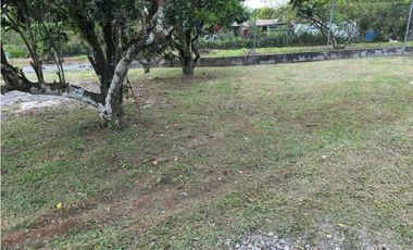ALQUILER CASA EN DAVID POTRERILLO 1,264 METROS