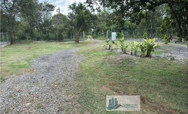 ALQUILER CASA EN DAVID POTRERILLO 1,264 METROS