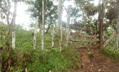 Se VENDE Finca en La Pintada, Coclé