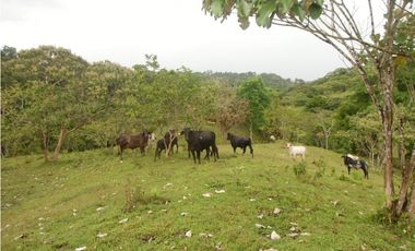 Se VENDE Finca en La Pintada, Coclé