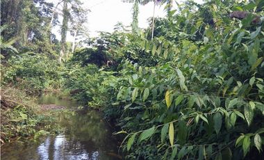 Se VENDE Finca en La Pintada, Coclé