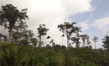 Se VENDE Finca en La Pintada, Coclé
