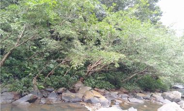 Se VENDE Finca en La Pintada, Coclé