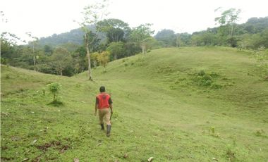 Se VENDE Finca en La Pintada, Coclé