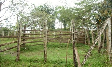 Se VENDE Finca en La Pintada, Coclé