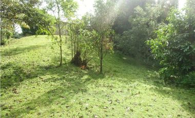 Se VENDE Finca en La Pintada, Coclé