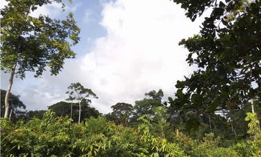 Se VENDE Finca en La Pintada, Coclé