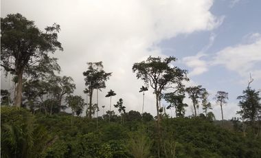 Se VENDE Finca en La Pintada, Coclé