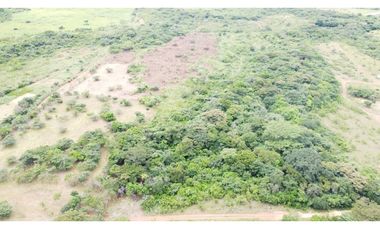 Se VENDE Finca en Llano Apóstol, Río Grande, Coclé