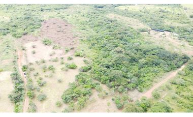 Se VENDE Finca en Llano Apóstol, Río Grande, Coclé