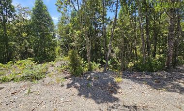 Parcela en Venta en Parcela en Puerto Varas. Bosques del Tepual