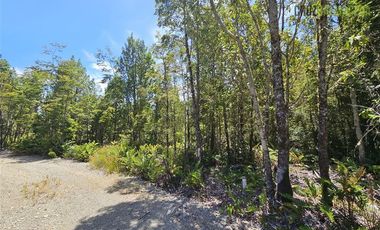 Parcela en Venta en Parcela en Puerto Varas. Bosques del Tepual