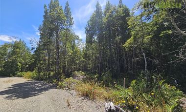 Parcela en Venta en Parcela en Puerto Varas. Bosques del Tepual