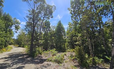 Parcela en Venta en Parcela en Puerto Varas. Bosques del Tepual