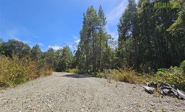 Parcela en Venta en Parcela en Puerto Varas. Bosques del Tepual