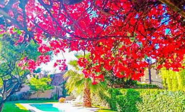 Casa PH en venta en Parque Quirno