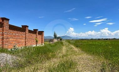 Terreno residencial en venta en Villa Corona Centro