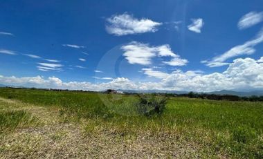 Terreno residencial en venta en Villa Corona Centro
