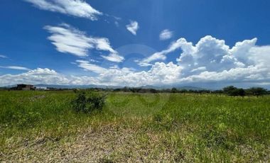 Terreno residencial en venta en Villa Corona Centro