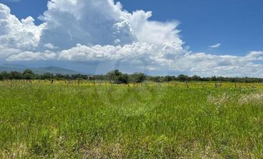 Terreno residencial en venta en Villa Corona Centro