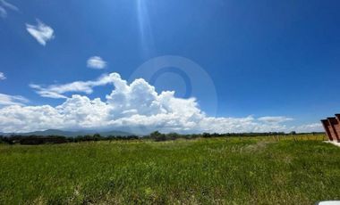 Terreno residencial en venta en Villa Corona Centro