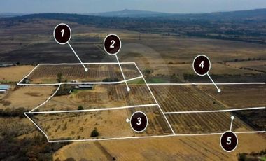 Terreno residencial en venta en Pueblo Matatlan
