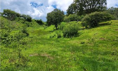 RANCHO EN VENTA EN VALLE DE BRAVO CON ARROYO