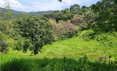 RANCHO EN VENTA EN VALLE DE BRAVO CON ARROYO