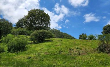 RANCHO EN VENTA EN VALLE DE BRAVO CON ARROYO
