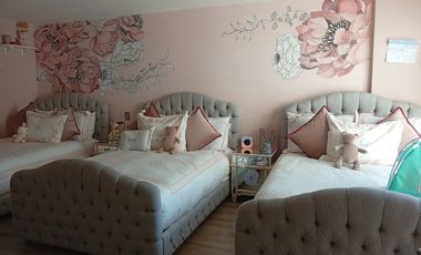 Polanco, Socrates, PH de Lujo en renta amueblado y equipado (V)