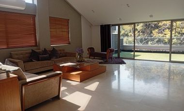 Polanco, Socrates, PH de Lujo en renta amueblado y equipado (V)