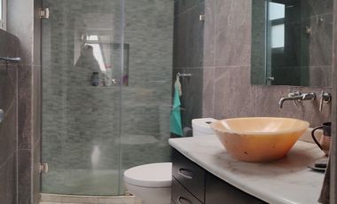 PENT HOUSE CON TERRAZA A LA VENTA EN POLANCO (V)