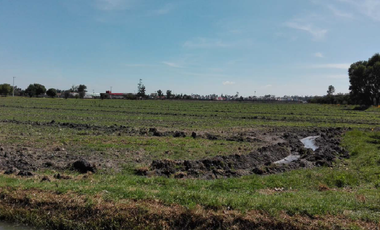 Terreno a la venta en San Bartolo Teoloyucan! (V)