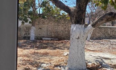 Renta casona de un piso en Merida