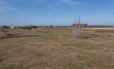 Terreno en  Santa Maria, Lobos