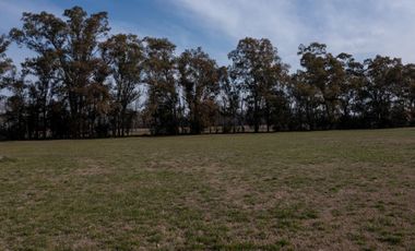 Terreno en  Santa Maria, Lobos