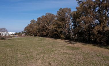 Terreno en  Santa Maria, Lobos