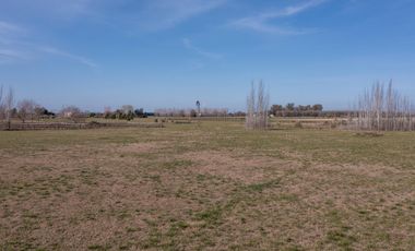 Terreno en  Santa Maria, Lobos