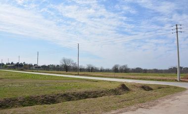 Alquiler Terreno de 2480M2 en Parque industrial Moreno - PIM2