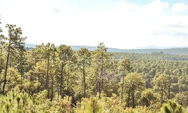 TERRENO EN VENTA EN BOSQUES DE LA CAÑADA, TAPALPA