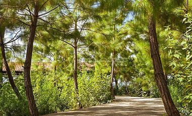 TERRENO EN VENTA EN BOSQUES DE LA CAÑADA, TAPALPA