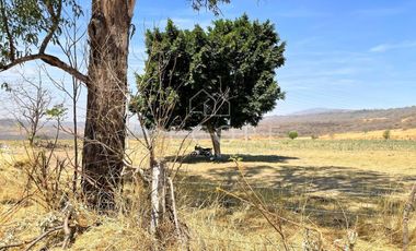 TERRENO EN VENTA EN BARRANCA DE HUENTITÁN, ZAPOTLANEJO