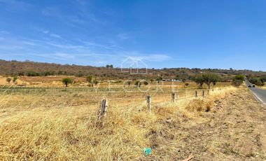 TERRENO EN VENTA EN BARRANCA DE HUENTITÁN, ZAPOTLANEJO