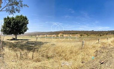 TERRENO EN VENTA EN BARRANCA DE HUENTITÁN, ZAPOTLANEJO