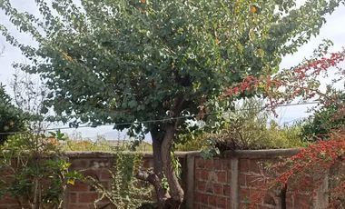Vendo acogedora casa en San Esteban