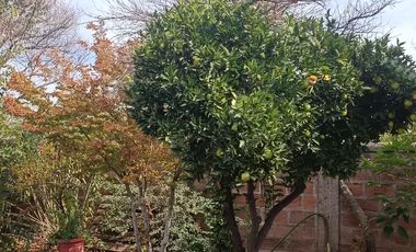 Vendo acogedora casa en San Esteban