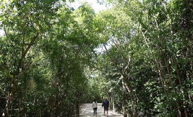 VENTA DE TERRENO EN QUINTANA ROO