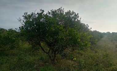 VENTA DE TERRENO EN QUINTANA ROO