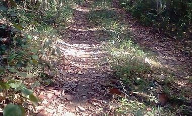 VENTA DE TERRENO EN QUINTANA ROO
